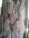 Maritima Bark Frosted White Schors 1,5 kg 