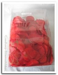 Monetablad Folha Moeda rood doos 100 gram 