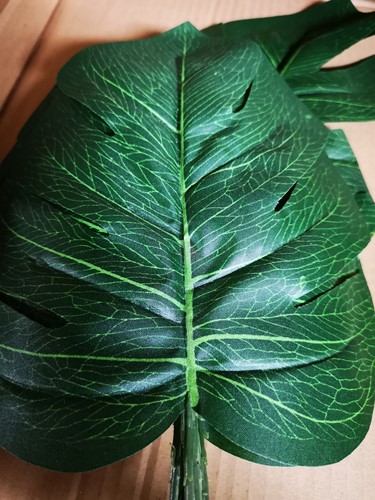 Monstera blad Monstera blad Botanical stijl VT Wonen