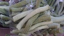 Mulberry stokjes takjes stronkjes zak 250 gram 2 kleur Groen 