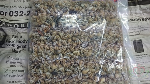 Nassa mix 1 kilo