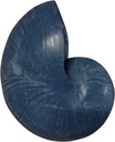 Nautilusschelp Resin blauw, 5x8x5 cm per stuk