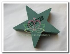 Oasis® Bioline ster oase voor verse bloemen 20 x 20 x 4,5 cm