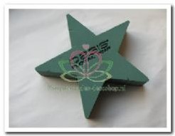 Oasis® Bioline ster oase voor verse bloemen 25 x 25 x 4,5 cm