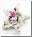 Oasis® Bioline ster oase voor verse bloemen 25 x 25 x 4,5 cm