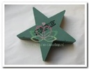 Oasis® Bioline ster oase voor verse bloemen 30 x 30 x 4,5 cm