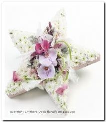 Oasis® Bioline ster oase voor verse bloemen 30 x 30 x 4,5 cm