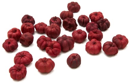Putka / pudka pods bordeauxrood klein verp 