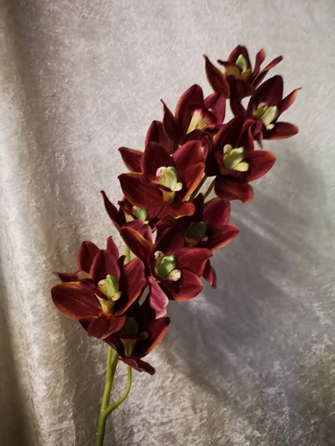Orchidee Cymbidium Zijden 96cm purple 
