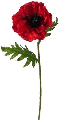 Papaver 57cm SINGLE POPPY rood Zijden bloem / stuk zijde bloemenen