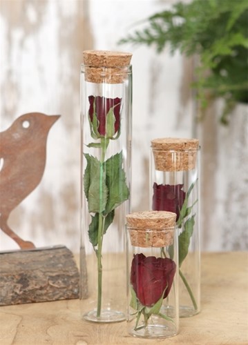 Reageerbuisjes glas 10cm d.3cm Met KURK doos 12st Pipet voor geschenken zijn LEEG