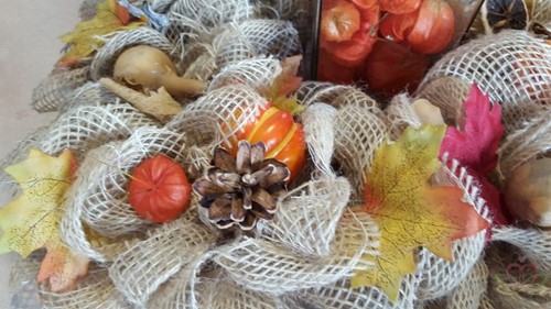 Physalis / Lampionnetjes 50 stuks 