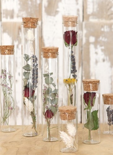 Reageerbuisjes glas 20cm d.3cm Met KURK doos 6st Pipet voor geschenken zijn LEEG