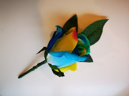 Regenboogcorsage Luxe Corsage Zijden RAINBOW BLUE/YELLOW/groen 