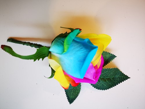 Regenboogcorsage Luxe Corsage Zijden RAINBOW CERISE/YELL/BLUE 