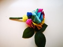 Regenboogcorsage Luxe Corsage Zijden RAINBOW met blad en minifoam en fieldberrie 