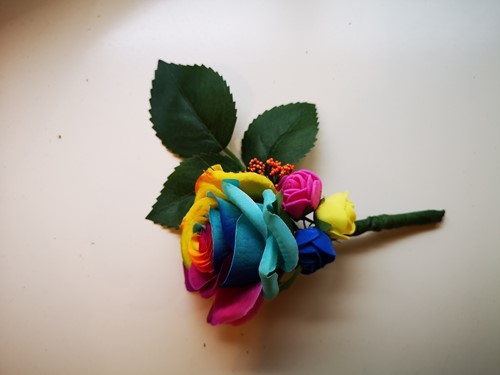 Regenboogcorsage Luxe Corsage Zijden RAINBOW met blad en minifoam en fieldberrie 