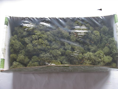 Rendiermos Ijslandsmos MOS-MOSGroen ca. 500 gram 