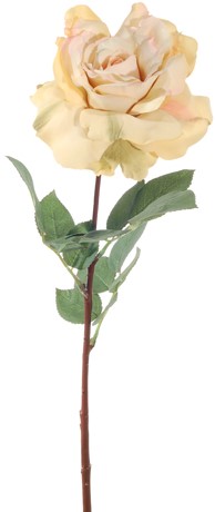 Roos groot Geel/CAVA75 cm Schitterende bloem 
