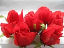 Roosjes 5-6cm Zijden Best Quality Rood 10 st 