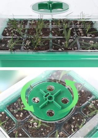 Seed Starter boxen MET kweeklamp 5 lampen 12/60 cellen Vensterbankkasjes met verstelbare ventilatie set van 5