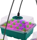 Seed Starter boxen MET kweeklamp 5 lampen 12/60 cellen Vensterbankkasjes met verstelbare ventilatie set van 5