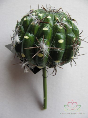 SMALL BALL CACTUS groen Zijde- Latex 