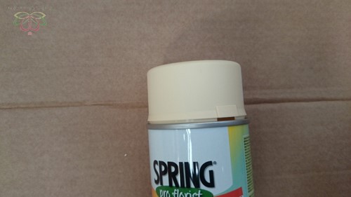 Spring pro Florist Champagne Deco Spray 400cc Bloemen verfspray