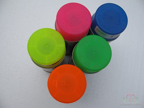 Spring pro Florist Fluor Orange 205 Deco Spray 400cc Neonverf Bloemen