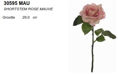 Roos BEAUTY Mauve Roos knop