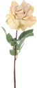 Roos groot Geel/CAVA75 cm Schitterende bloem 