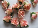 Roosjes 3 cm Zijden Best Quality Zalm-Lichtroze bicolor10 st 
