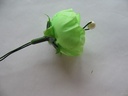 Roosjes 3 cm Zijden FrisGroen corsage of zeep ca. 20 stuks 