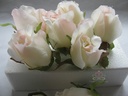 Roosjes 5-6cm Zijden Best Quality Champagne-Roze 2tone 10 st 
