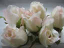 Roosjes 5-6cm Zijden Best Quality Champagne-Roze 2tone 10 st 