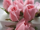 Roosjes 5-6cm Zijden Best Quality Hot Pink Roze 10 st 