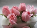 Roosjes 5-6cm Zijden Best Quality Hot Pink Roze 10 st 