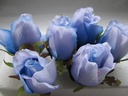 Roosjes 5-6cm Zijden Best Quality Lichtblauw 2tone 10 st 