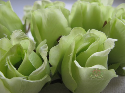 Roosjes 5-6cm Zijden Best Quality Lightgroen LichtGroen 10 st 
