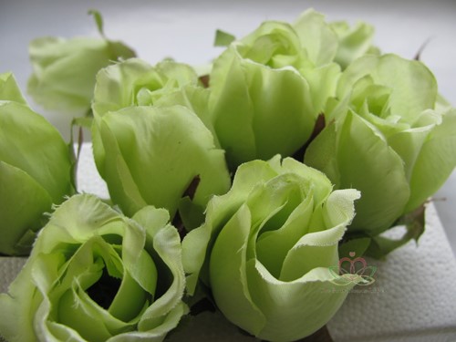 Roosjes 5-6cm Zijden Best Quality Lightgroen LichtGroen 10 st 