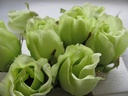 Roosjes 5-6cm Zijden Best Quality Lightgroen LichtGroen 10 st 