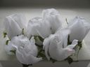 Roosjes 5-6cm Zijden Best Quality Pure White 10 st 