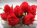 Roosjes 5-6cm Zijden Best Quality Rood 10 st 