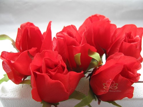 Roosjes 5-6cm Zijden Best Quality Rood 10 st 