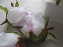 Roosjes 5-6cm Zijden Best Quality Wit-Purple 2tone 10 st 