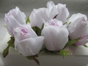 Roosjes 5-6cm Zijden Best Quality Wit-Purple 2tone 10 st 