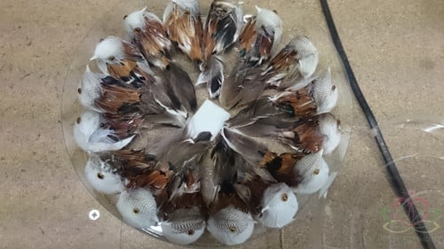 Vogeltjes DonkerstBruin natuurlijk 16 stuks van 9 cm voor bloemschikken en decoratie