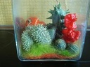 Wooly Lime/ Decotwister / Fluf 10gr kunststof vuller voor bloemwerk