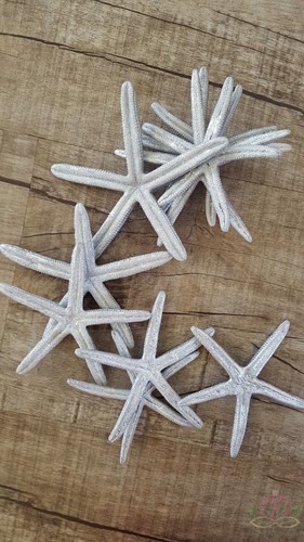 Zeester Finger starfish 10-15cm champagne/zilver 10 pcs 