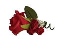 Corsage met rode roos